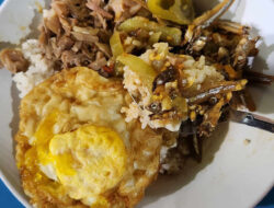 Nasi Teri Pojok Gejayan: Legenda Kuliner Malam yang Tak Pernah Sepi