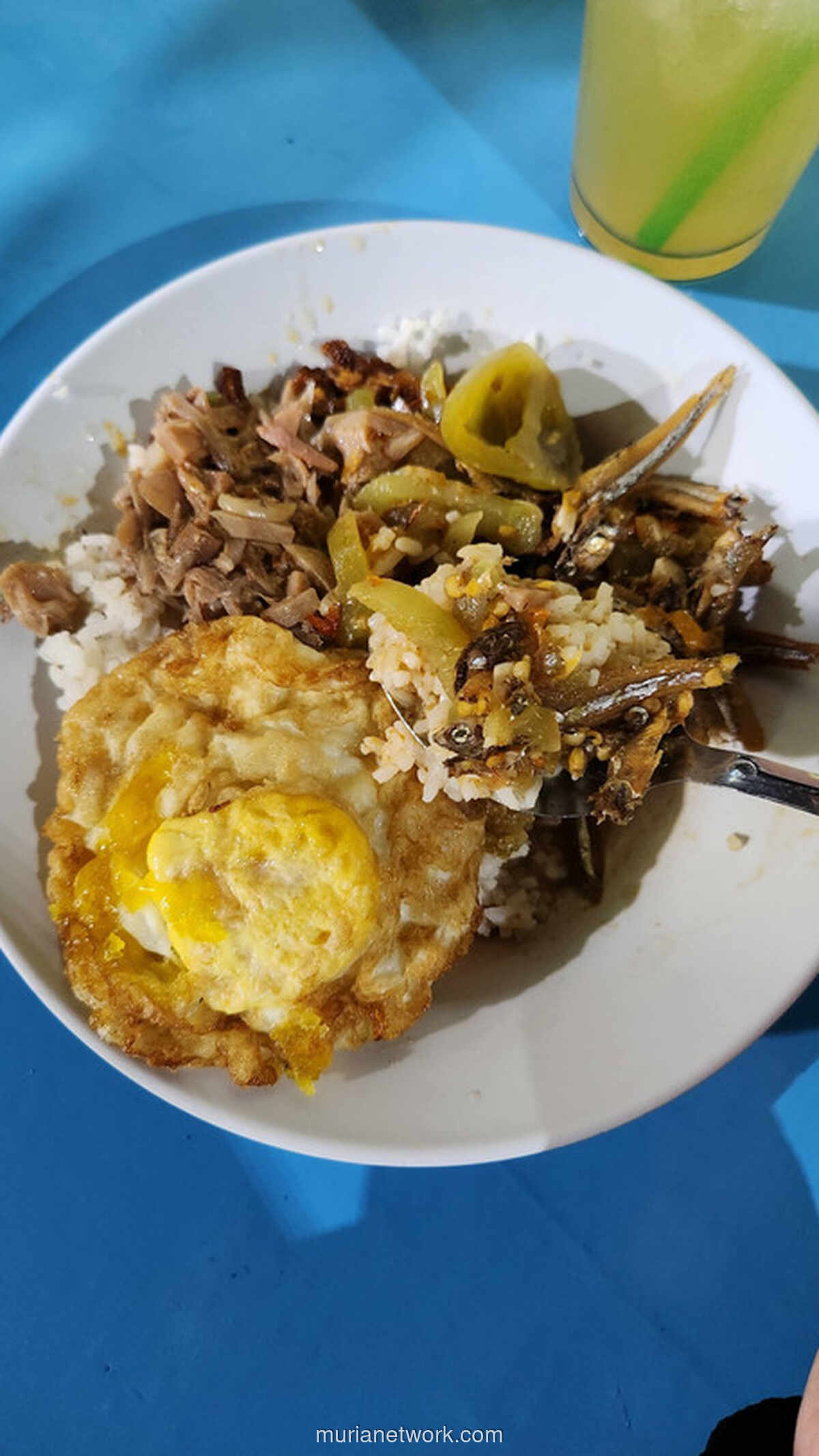 Nasi Teri Pojok Gejayan: Legenda Kuliner Malam yang Tak Pernah Sepi