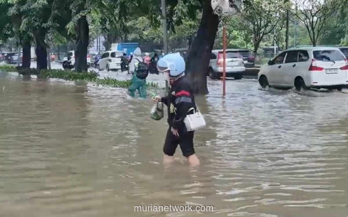 Waspada Leptospirosis, Ancaman Tak Kasat Mata Usai Banjir Melanda