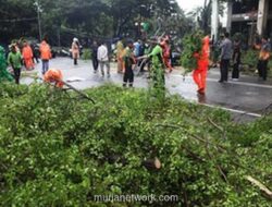 Angin Kencang 47 Km/Jam Ancam Perairan Jakarta, BPBD Keluarkan Peringatan Dini