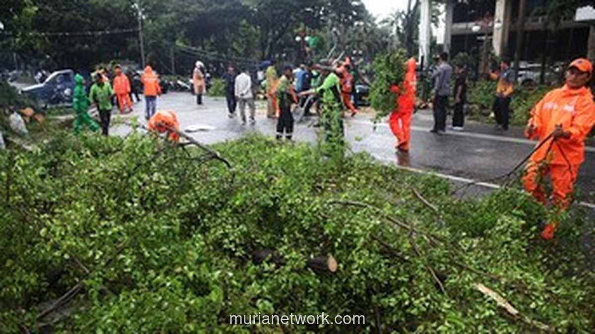 Angin Kencang 47 Km/Jam Ancam Perairan Jakarta, BPBD Keluarkan Peringatan Dini