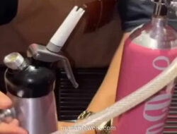 Whip Pink, Tren Kuliner yang Berubah Jadi Pembunuh Diam-diam