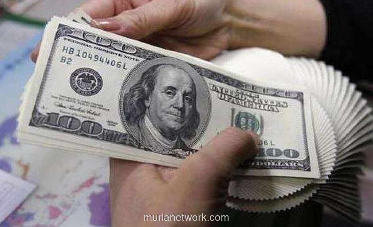 LPS Patok Bunga Penjaminan Valas di 2%, Respons atas Banjir Dolar di Perbankan