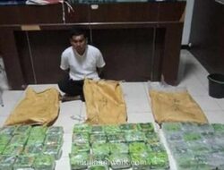 100 Kilogram Sabu Digagalkan BNN di Aceh Timur, Satu Tersangka Diamankan