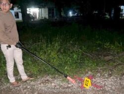 Burung Hantu Tewas Ditembak, Wanita di Belu Terancam Pasal Penganiayaan Hewan