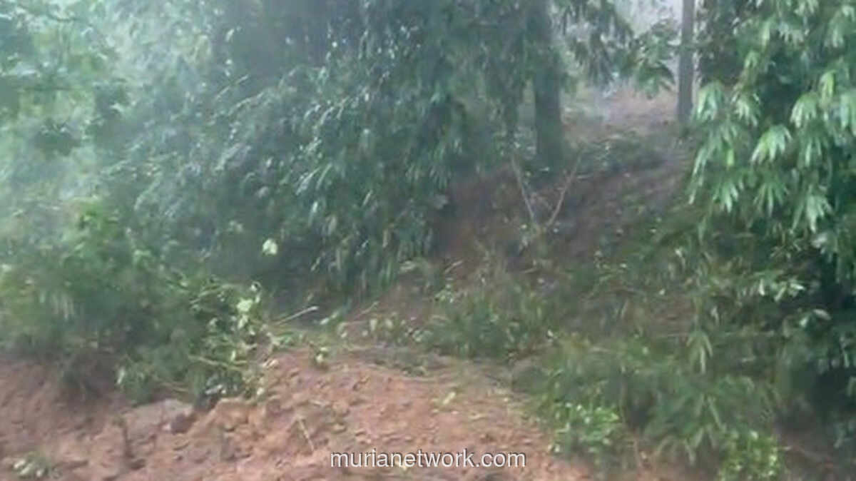 Hujan Tak Kenal Ampun, Jalan Nasional Sukabumi Tertimbun Longsor