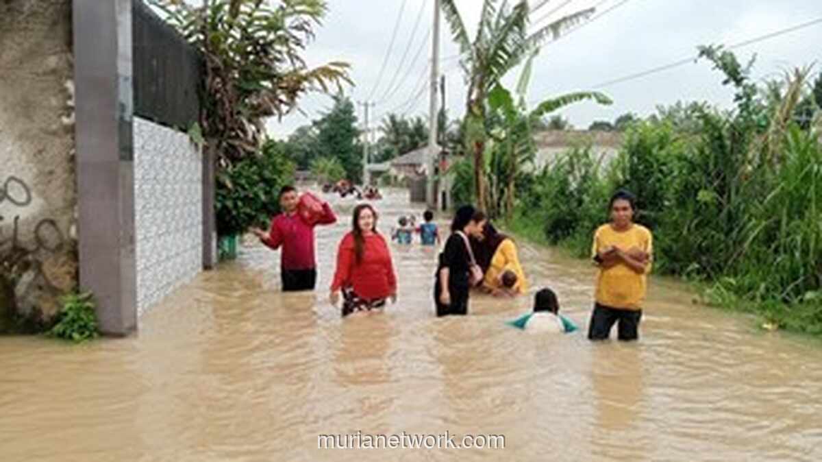 Banjir Serang Rendam Lima Kampung, Sekolah Terpaksa Libur