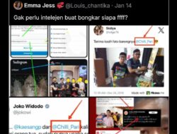 Jejak Digital Fufufafa dan Chilipari: Benang Merah yang Mengarah ke Gibran?