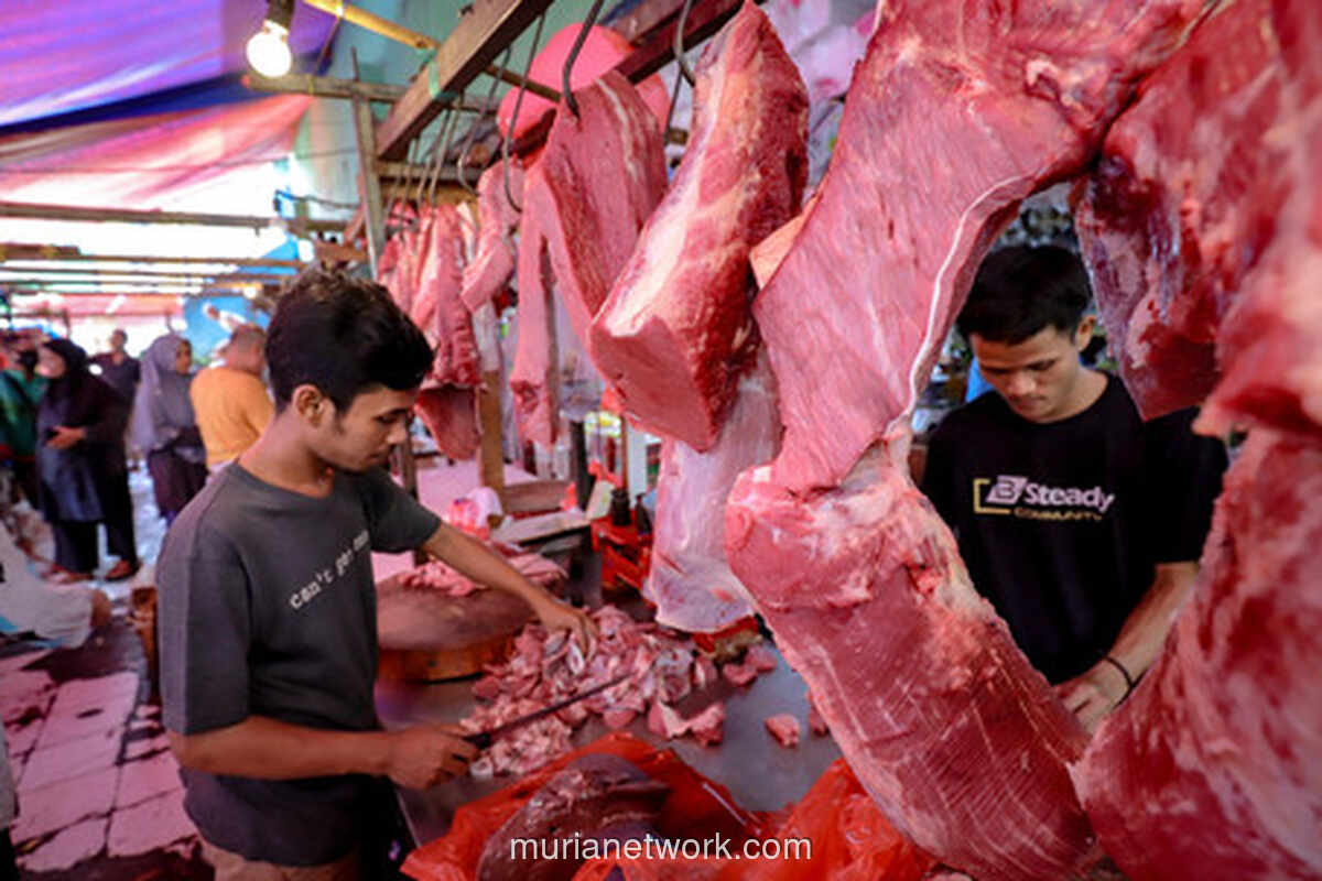 Menteri Pertanian Turun Tangan Usai Pedagang Daging Mogok Tiga Hari
