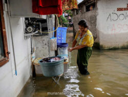 Tiga Hari Genangan, Warga Rawa Buaya Berjuang Usir Banjir