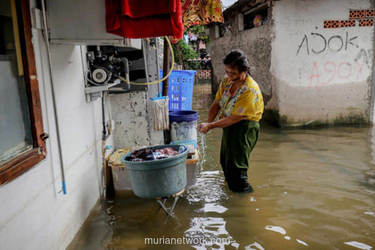 Tiga Hari Genangan, Warga Rawa Buaya Berjuang Usir Banjir