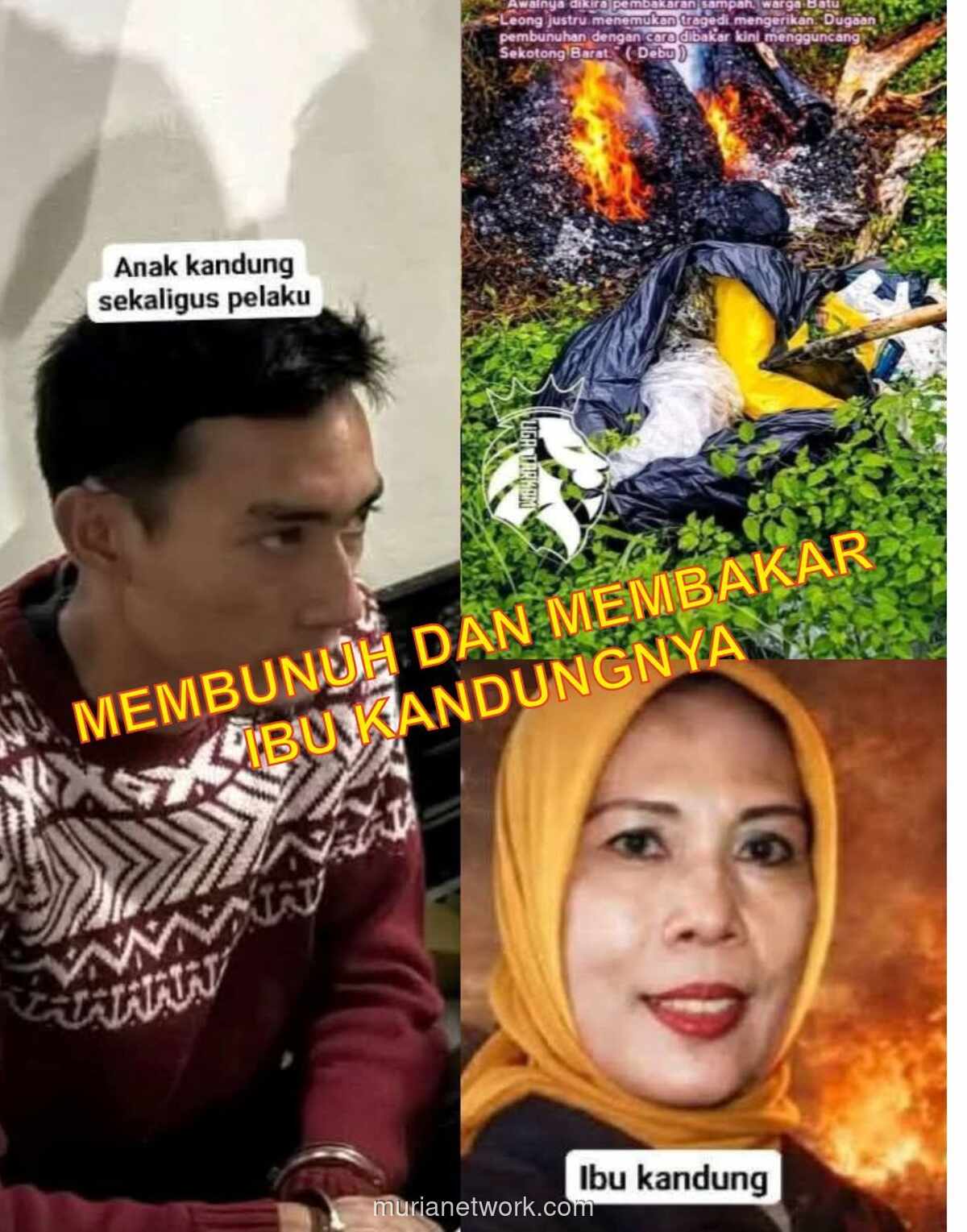 Kisah Mengerikan di Lombok: Anak Cekik Ibu, Bakar Jasadnya Demi Uang