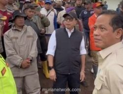 Tim Ahli KLH Turun ke Cisarua, Telusuri Dampak Urbanisasi Pasca-Longsor