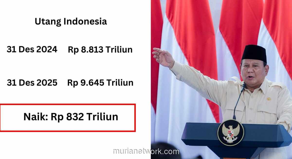 Lubang Utang Rp 800 Triliun: Pemerintah Terjebak Siklus Gali Tutup