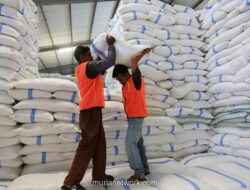 Stok Beras dan Minyak Goreng di Aceh Aman Jelang Ramadan, Bulog Pastikan Tak Ada Kelangkaan