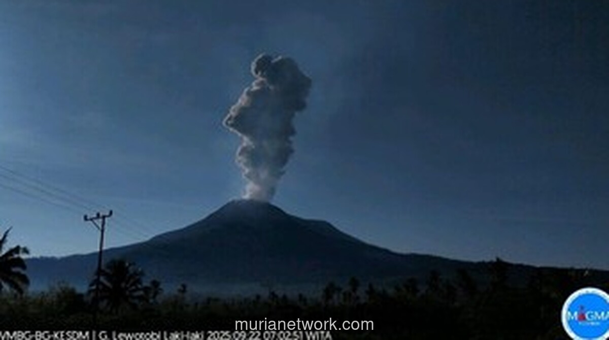 Lewotobi Laki-laki Naik Status ke Awas, Magma Bergerak Cepat ke Permukaan