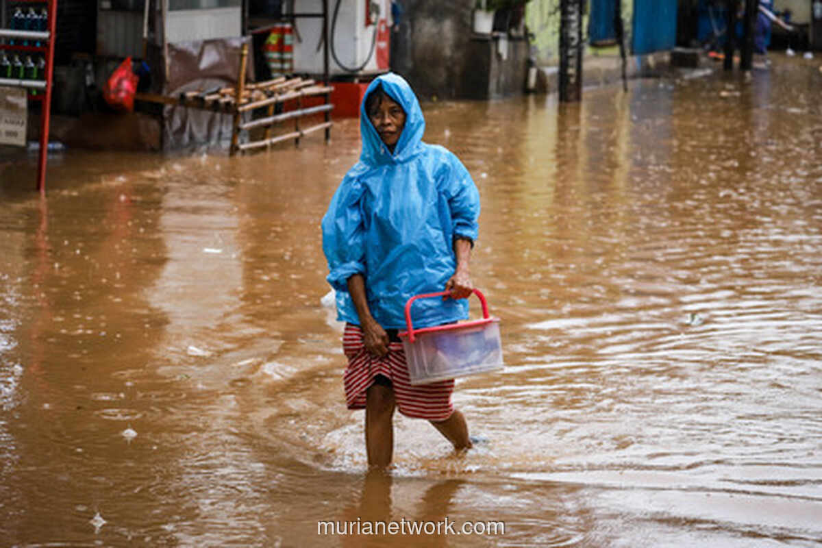 Pohon Angsana Tumbang Timbulkan Kekhawatiran di Kemang Raya