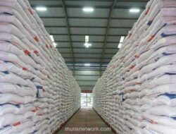 Cadangan Beras 3,3 Juta Ton di 2026, Kunci Suksesnya Ada di Irigasi