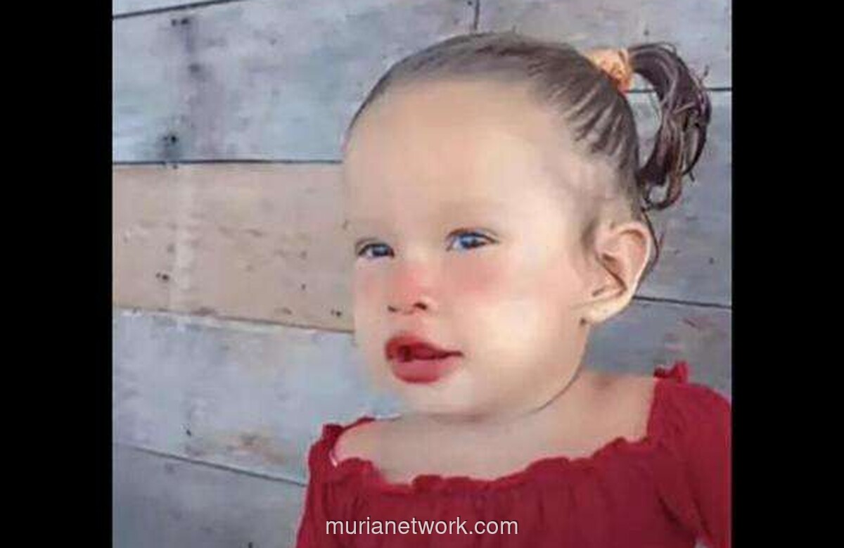 Balita Brasil Tewas Usai Diserang Kawanan Piranha di Sungai Amazonas