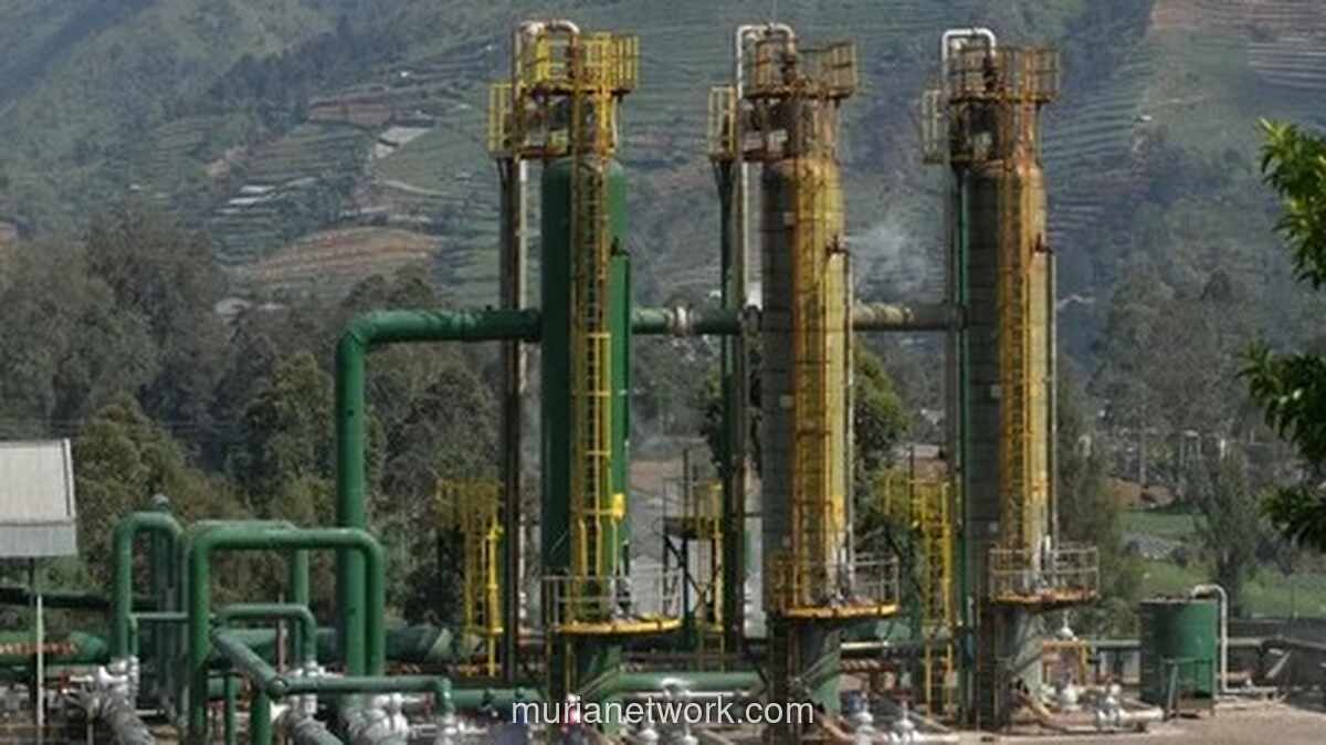 Januari, Lelang Panas Bumi yang Sempat Mandek Kembali Dibuka