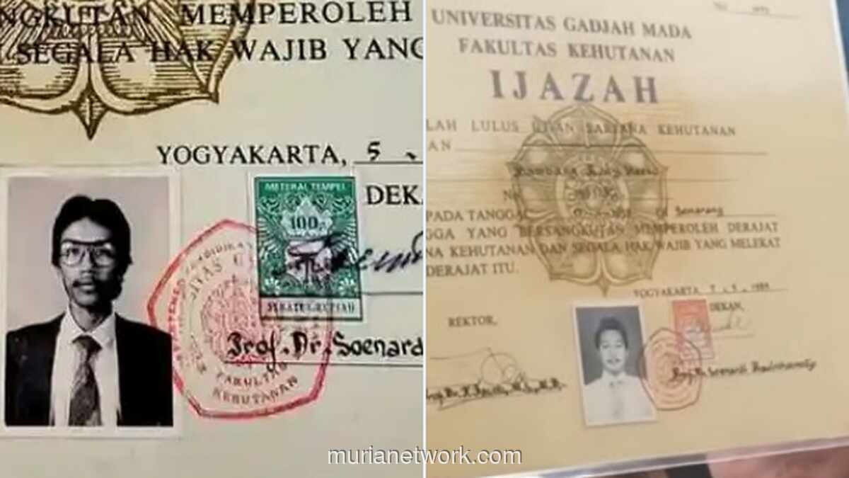 Materai Rp100 di Ijazah Jokowi Disorot, Jubir PSI: Itu Hal Biasa