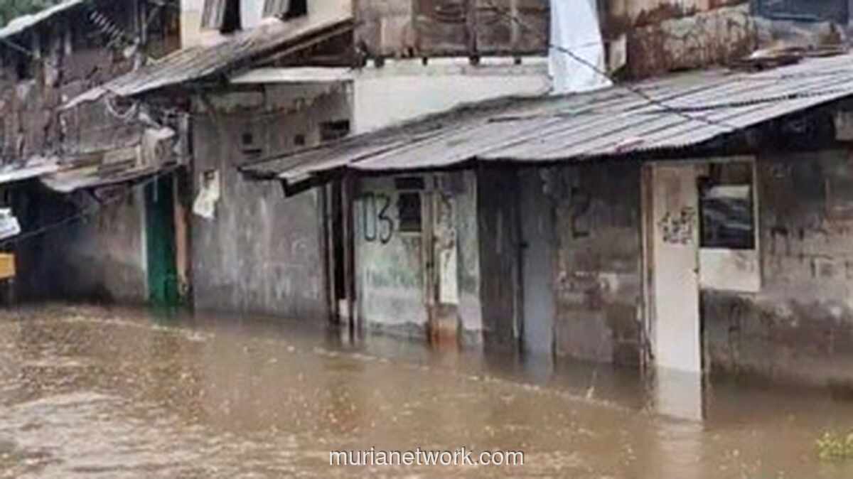 Kali Cakung Meluap Lagi, Ratusan Rumah di Cakung Terendam Air Cokelat