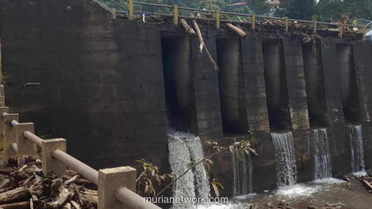 Aceh Siapkan Sabo Dam di Hutan Lindung untuk Tangkal Banjir Bandang