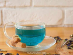 Bunga Telang: Dari Pewarna Makanan Jadi Penjaga Mata di Era Digital