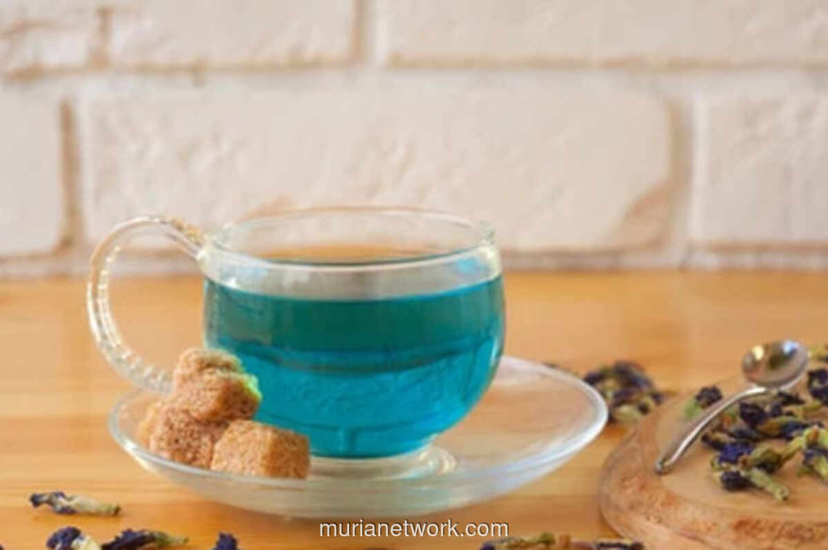 Bunga Telang: Dari Pewarna Makanan Jadi Penjaga Mata di Era Digital