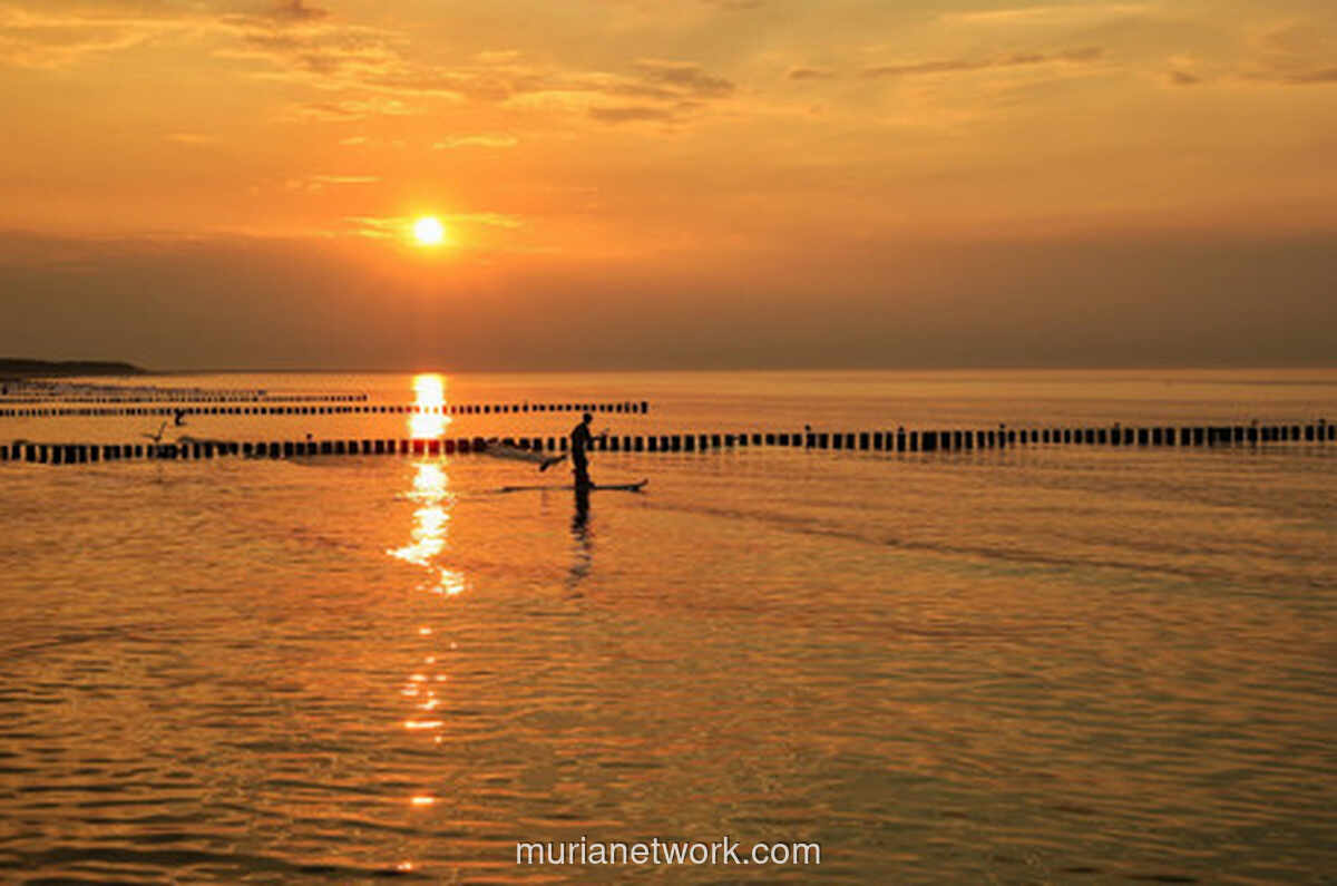 Diam Bukan Kosong: Perlawanan Sunyi di Era Kebisingan