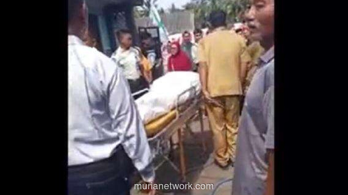 Sengketa Tanah Berujung Maut, Saudara Tewas Dibacok di Jember