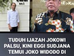 Pengkhianat dalam Barisan: Saat Aktivis Antipalsu Bertandang ke Istana