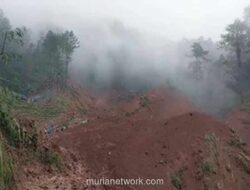 Dua Petani di Pemalang Tertimbun Longsor, Pencarian Terhambat Cuaca Ekstrem