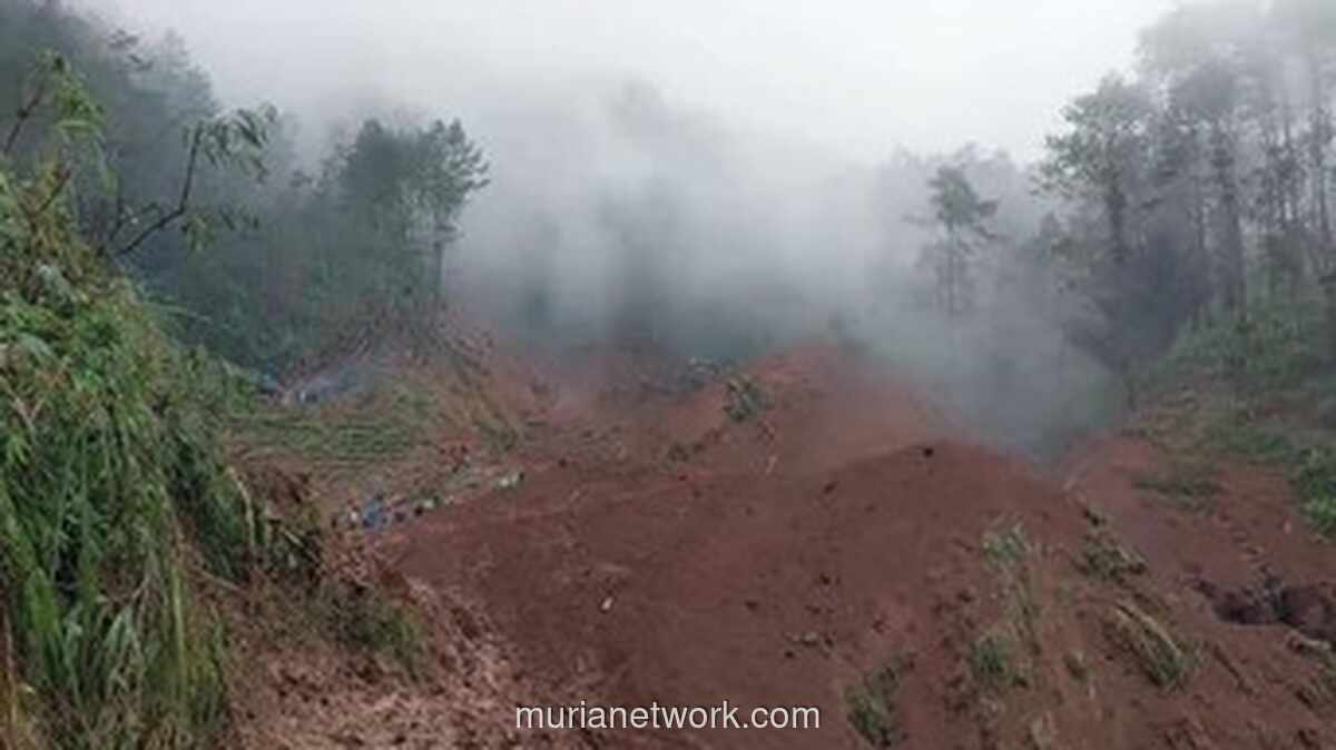 Dua Petani di Pemalang Tertimbun Longsor, Pencarian Terhambat Cuaca Ekstrem