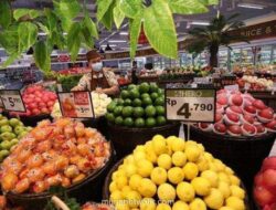 BUAH Sewa Aset Komisaris dengan Harga Ramah Rp200 Juta per Tahun