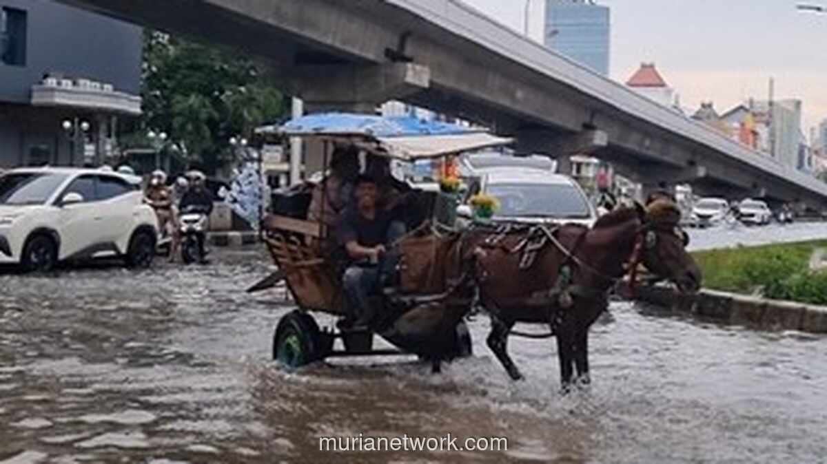 Kusir Delman Raup Untung di Tengah Banjir Kelapa Gading