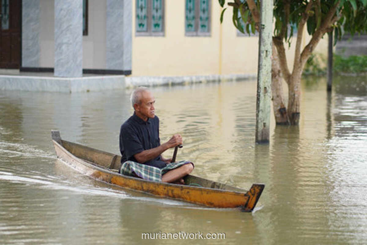 Dua Pekan Terendam, Warga Banjar Bertahan di Atas Panggung Kayu