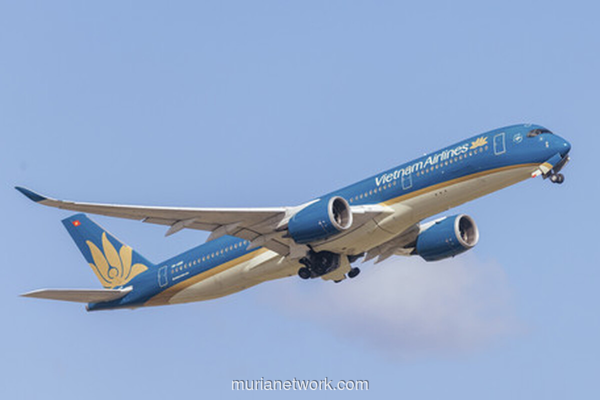 Vietnam Airlines Resmikan Wi-Fi di Udara, Mulai Rp 80 Ribu