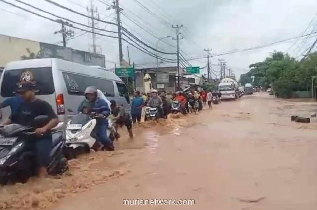 Banjir Lumpuhkan Jalur Pantura Kudus-Pati, Ribuan Rumah Terendam