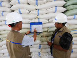 Beras SPHP Bakal Seragam Harganya dari Sabang hingga Merauke