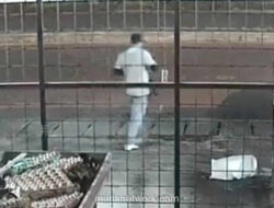 Mobil Pengacara Dibakar, Diduga Terkait Penolakan Pemindahan Masjid