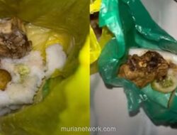 Makanan Balita di Pandeglang Disajikan Pakai Kantong Kresek, Kader Posyandu Buka Suara