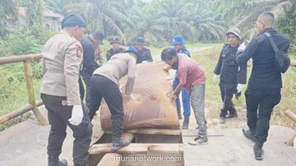 Jembatan Baru di Siak, Tanda Bakti Polisi di Tengah Warga