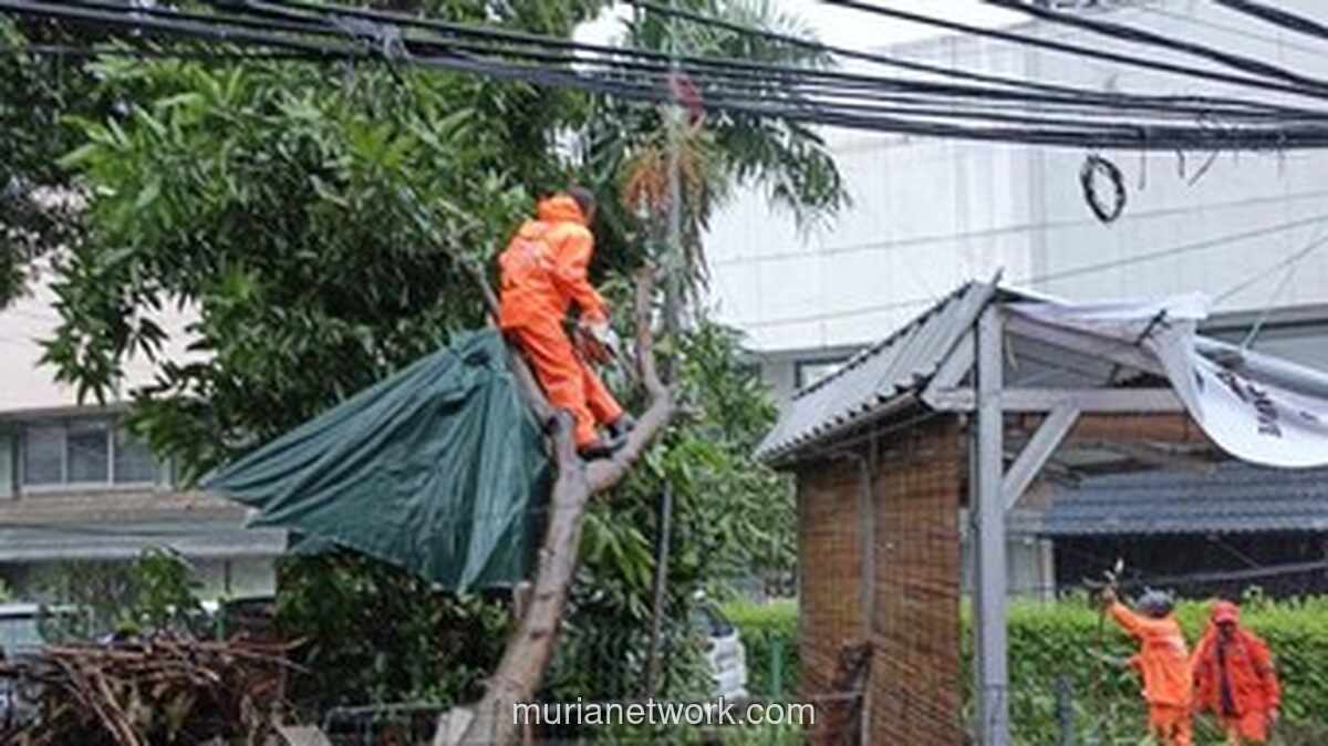 Hujan Deras dan Angin Kencang Tumbangkan Enam Pohon di Jakarta
