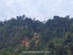 Gudang Batu Bara Ilegal di Kaltim Disita, 70 Ribu Ton Siap Dilelang