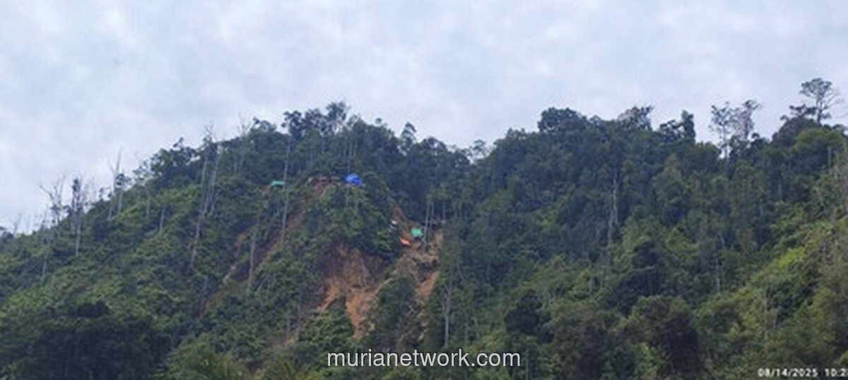 Gudang Batu Bara Ilegal di Kaltim Disita, 70 Ribu Ton Siap Dilelang