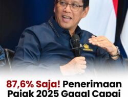 Target Pajak 2025 Jeblok Rp 271 Triliun, Proyek Yayasan Jadi Sorotan