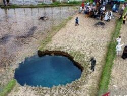 Lubang Raksasa Menganga di Sawah Limapuluh Kota, Ternyata Fenomena Sinkhole