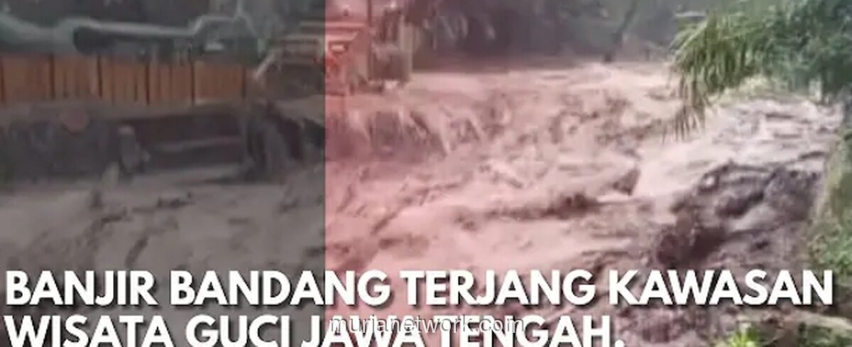 Guci Tergenang, Hutan yang Menjerit: Investigasi Dibalik Banjir Bandang