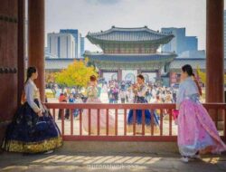 Tur Korea 5 Hari: Dari Hanok Village Sampai Bikin Kimbap, Semua Teratur Tanpa Ribet